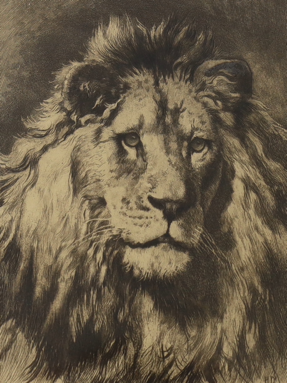 Herbert Dicksee (1862-1942), etching, 'His Royal Highness', 28 x 19cm